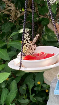 多摩動物公園に投稿された画像（2024/9/29）