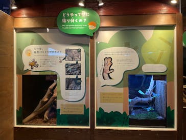 恩賜上野動物園に投稿された画像（2024/9/29）