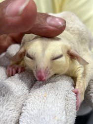 ナゴヤレプタイルズワールドに投稿された画像（2024/9/29）