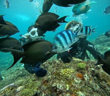 沖縄マリンサービス碧に投稿された画像（2024/9/29）