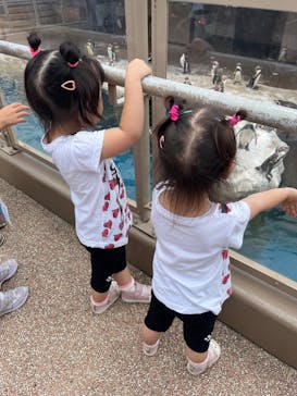 アクアワールド茨城県大洗水族館に投稿された画像（2024/9/29）