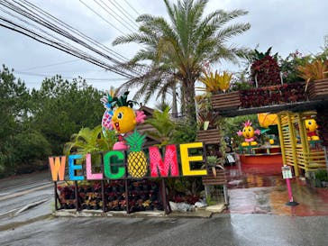 ナゴパイナップルパークに投稿された画像（2024/9/29）