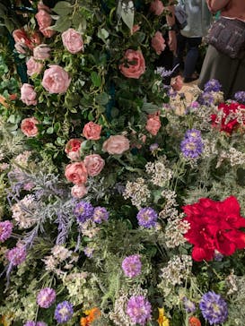 モネ＆フレンズ・アライブに投稿された画像（2024/9/29）