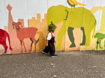 天王寺動物園に投稿された画像（2024/9/29）