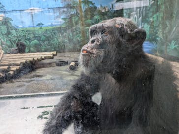 伊豆シャボテン動物公園に投稿された画像（2024/9/29）