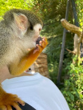 長崎バイオパークに投稿された画像（2024/9/29）