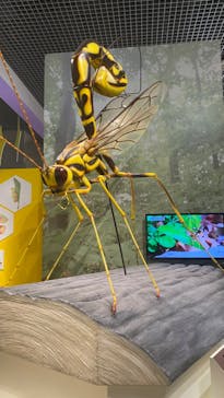 特別展「昆虫 MANIAC」（国立科学博物館）に投稿された画像（2024/9/29）