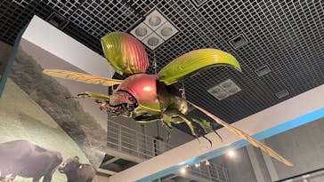 特別展「昆虫 MANIAC」（国立科学博物館）に投稿された画像（2024/9/29）
