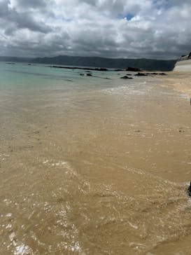 Dive Center OKKYに投稿された画像（2024/9/29）