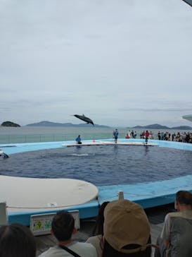 四国水族館に投稿された画像（2024/9/29）