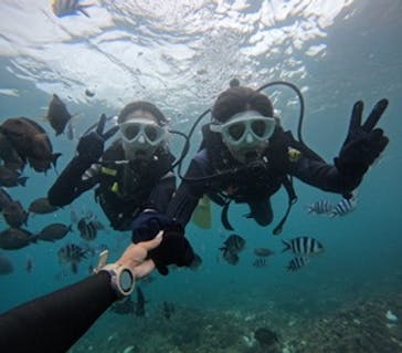 沖縄マリンサービス碧に投稿された画像（2024/9/29）