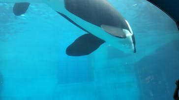名古屋港水族館に投稿された画像（2024/9/29）