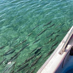 田沢湖マリーンに投稿された画像（2024/9/29）