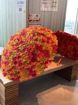 サンシャイン60展望台に投稿された画像（2024/9/29）