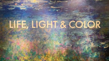 モネ＆フレンズ・アライブに投稿された画像（2024/9/29）