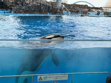 名古屋港水族館に投稿された画像（2024/9/29）