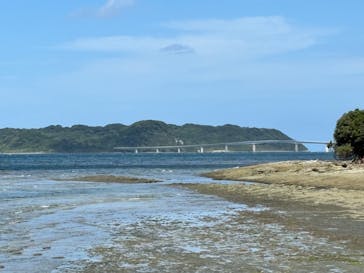 ホワイトウイングに投稿された画像（2024/9/29）