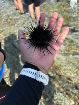 ホワイトウイングに投稿された画像（2024/9/29）