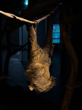 カワスイ 川崎⽔族館に投稿された画像（2024/9/29）