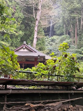 ジャパンだるまツアーに投稿された画像（2024/9/29）