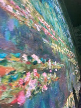 モネ＆フレンズ・アライブに投稿された画像（2024/9/29）