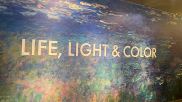 モネ＆フレンズ・アライブに投稿された画像（2024/9/29）