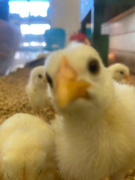 Moff animal world BIGHOPガーデンモール印西店に投稿された画像（2024/9/29）