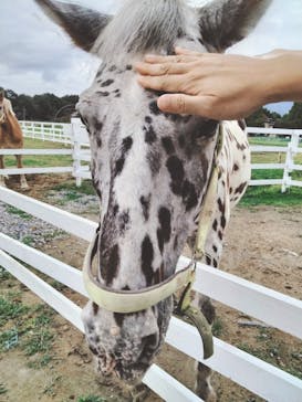 滋賀農業公園ブルーメの丘に投稿された画像（2024/9/29）