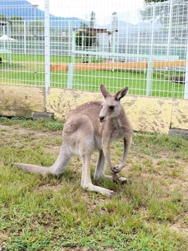 滋賀農業公園ブルーメの丘に投稿された画像（2024/9/29）