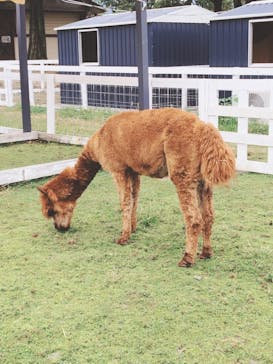 滋賀農業公園ブルーメの丘に投稿された画像（2024/9/29）