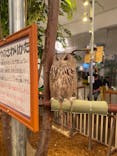 Moff animal cafe イオンモール幕張新都心店に投稿された画像（2024/9/29）