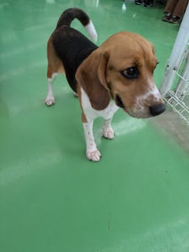 つくばわんわんランドに投稿された画像（2024/9/29）