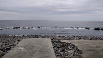 根府川ダイビングサービスに投稿された画像（2024/9/29）