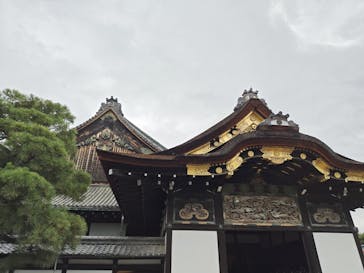 元離宮二条城に投稿された画像（2024/9/29）