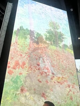 モネ＆フレンズ・アライブに投稿された画像（2024/9/29）