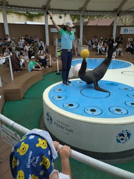 サンシャイン水族館に投稿された画像（2024/9/29）