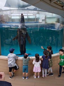 サンシャイン水族館に投稿された画像（2024/9/29）