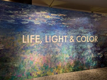 モネ＆フレンズ・アライブに投稿された画像（2024/9/29）