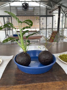 倉敷グリーンファームに投稿された画像（2024/9/29）