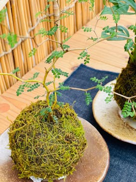 倉敷グリーンファームに投稿された画像（2024/9/29）