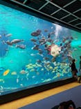 箱根園水族館に投稿された画像（2024/9/29）