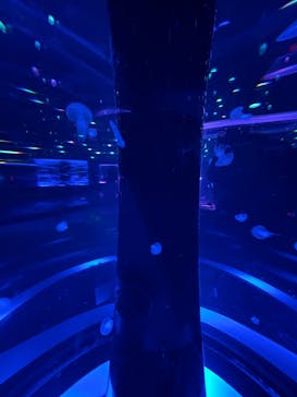 マクセル アクアパーク品川に投稿された画像（2024/9/29）