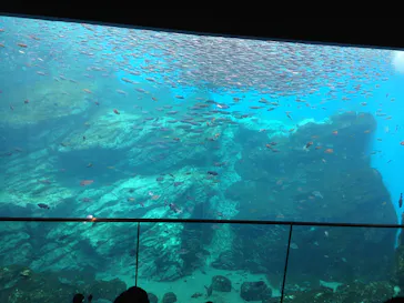 仙台うみの杜水族館に投稿された画像（2024/9/29）