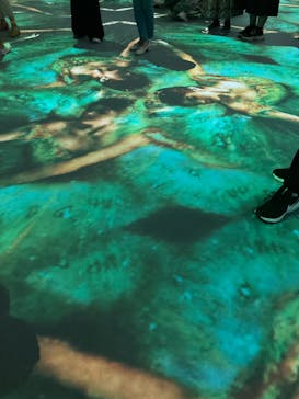 モネ＆フレンズ・アライブに投稿された画像（2024/9/29）