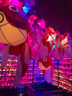 NARA KINGYO MUSEUMに投稿された画像（2024/9/29）