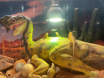 NARA KINGYO MUSEUMに投稿された画像（2024/9/29）