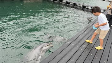 太地町立くじらの博物館に投稿された画像（2024/9/29）