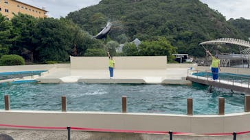 太地町立くじらの博物館に投稿された画像（2024/9/29）