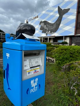 太地町立くじらの博物館に投稿された画像（2024/9/29）
