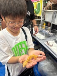 ナゴヤレプタイルズワールドに投稿された画像（2024/9/29）